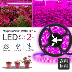 【5日限定☆クーポンで最大200円off】植物育成ライト LED 2m 植物用 テープライト 植物栽培ライトled 防水 USB対応 夏 植物育成led グローライト ストリップライト 水耕栽培 植物 ライト ledテープライト usb 日照不足 省エネ 室内園芸 USB