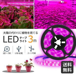 yTI1000~ȏ15offzyyV1ʎ܁zA琬Cg LED 3m e[vCg Apled h USBΉ  A琬led A Cg Ai ƒ؉ | ͔| k͔| e