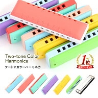 【楽天1位!!15冠達成】ハーモニカ 初心者 C調 10ホールズ 10穴 ブルースハープ C管 楽器 入門 練習用 大…