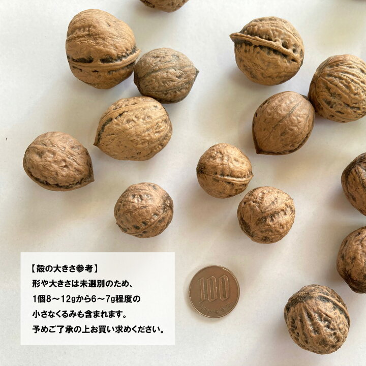 楽天市場 くるみ 殻付き 国産 1kg 令和4年産 無添加 小動物おやつ 山形県 和くるみ オニグルミ 送料無料 一部地域を除く ハートランドファームいちご一笑 楽天市場 くるみ 殻付き 国産 1kg 令和4年産 無添加 小動物おやつ 山形県 和くるみ オニグルミ 送料無料 一部地域を除く ハートランドファームいちご一笑