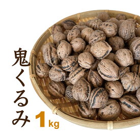 くるみ 1kg 国産 殻付き 令和7年産 山形県産 鬼くるみ オニグルミ 和くるみ 送料無料（一部地域を除く） 2025年産