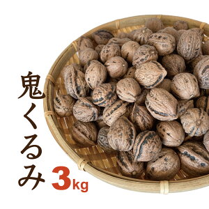  3kg Y kt ߘa7NY R`Y S IjO~ a iꕔnj 2025NY