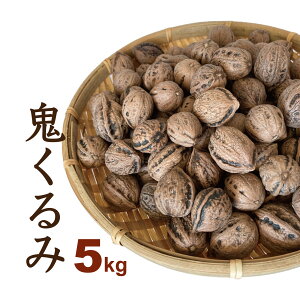  5kg Y kt ߘa7NY R`Y S IjO~ a iꕔnj 2025NY