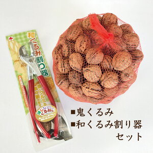 ݊Zbg 1kg a݊1 Y kt ߘa7N R`Y S IjO~ iꕔnj 2025NY