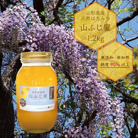 純粋はちみつ 山ふじ蜂蜜 1.2kg 国産 山形県産 非加熱 無添加 純度90％以上 令和7年産 送料無料（一部地域を除く）