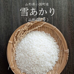 新米 5kg 雪あかり 山形95号 山形県 令和7年産 送料無料(一部地域を除く) 精白米 お米