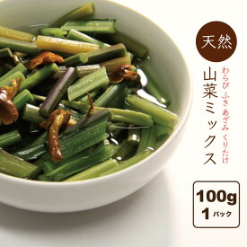 山菜ミックス水煮 100g 国産 山形県小国町 山菜加工品 田舎のごちそう 送料無料 ポイント消化