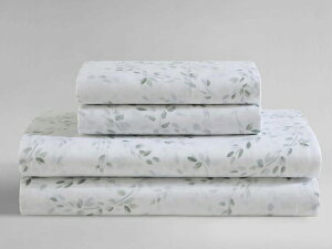 yLOz@Calvin Klein JoENC@Airy Botanical V[c4_Zbg@iO[j@tbgV[c1{bNXV[c1Jo[2@Q