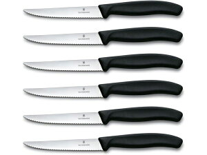 Victorinox rNgmbNX@XCXNVbN Xe[LiCt6{Zbgi[̐Ă^Cvj@Swiss Classic V[Y