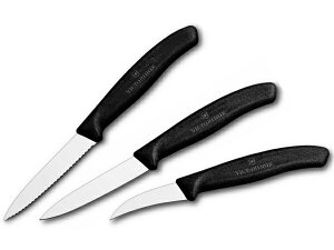 Victorinox rNgmbNX@XCXNVbNEyeBiCt3_ZbgSwiss Classic V[Y