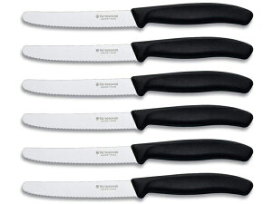 Victorinox rNgmbNX@XCXNVbN Xe[LiCt6{Zbgi[̊ۂ^CvjSwiss Classic V[Y