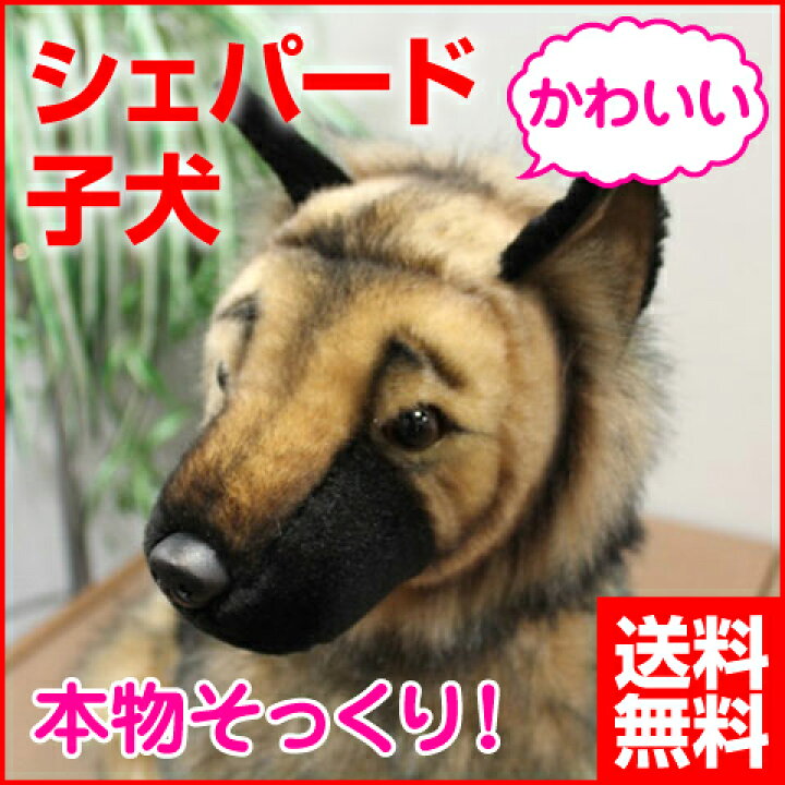 新品 50cm 寝そべりジャーマンシェパードぬいぐるみ 犬 リアルかわいい 撮影小道具 警察犬y1292 ワンピなど最旬ア 新品 50cm 寝そべりジャーマンシェパードぬいぐるみ 犬 リアルかわいい 撮影小道具 警察犬y1292 ワンピなど最旬ア