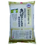 令和5年産 新潟県産 特別栽培米（減化学肥料・減農薬） 魚沼コシヒカリ 5kg 桑原健太郎さん作