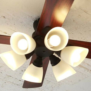 yplusmorez LEDΉ 6 V[Ot@ Windouble ubN Rt ȒPt BIG-102-BK