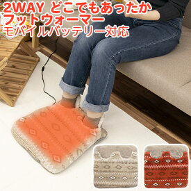 2WAY どこでもあったか フットウォーマー＆ホットマット ヒーター内蔵 電気足温器 38×38cm 裏ボア USB給電 AC電源 両電源対応 収納袋付き DAF-B12L ゼピール ZEPEAL