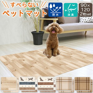 y 2Zbg z ybgp h L h}bg ybg}bg 90×120cm ȒP rj INSF-20 MEIWA aOrA {