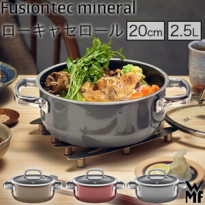 t[WebN ~l [LZ[ 20cm W0514595290 WMF F[GGt {Ki 10Nۏ