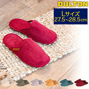 DULTON R[fC Xbp [V[Y LTCY 25cm`28cm [obOt T20-0224L _g