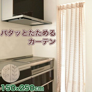 p^bƂ߂J[e x[W p^p^J[e AR[fBIJ[e ߂J[e Ԏd؂ J[e 1 Jbg ې􂢉 Ռ k  ς