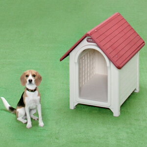 yACXI[}z{unEXM bh/ItzCg