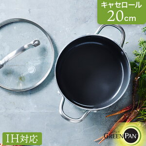 yKizIHΉ Z~bN mXeBbNR[eBO LZ[ 20cm KXWt Ct[ CC002177-001 GREEN PAN O[p