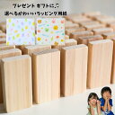 【選べるラッピング包装】プレゼント ドミノ倒し 100ピース 日本製品 桧 ひのき 木製おもちゃ 知育玩具 積み木 誕生日 出産祝い 孫 友達 男の子 女の子 ギフト 3歳 4歳 5歳 6歳