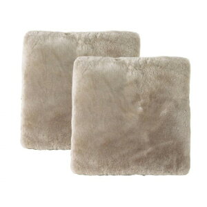 ���[�g�����z�c ��53×53cm 2���g DZL18602�@PG�E�O���[