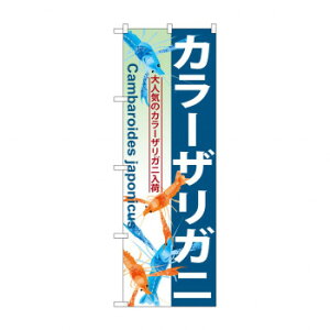 �̂ڂ� GNB-570 �J���[�U���K�j