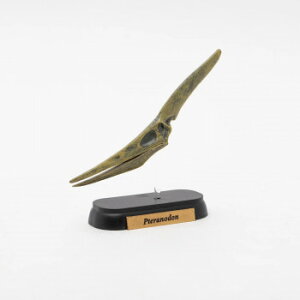 FDW-509 vemh XJ ~jf 73509