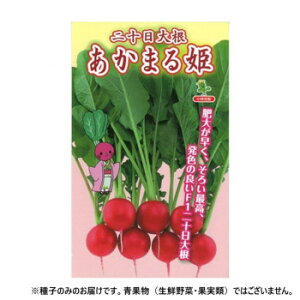 ���ю�c �n�c�J�_�C�R����q �����܂�P�@7240�@1dl