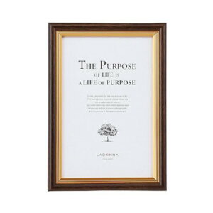 ラドンナ フォトフレーム 写真たて SF08-P-DBR