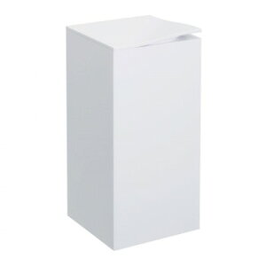 R[i[|bg 1L DS2400108