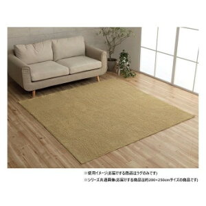 ~bNXpC O 3 200×250cm zbgJ[ybgΉ x[W 3985359