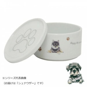 R X^bJ[SET() ViEU[ wa-se100-S1