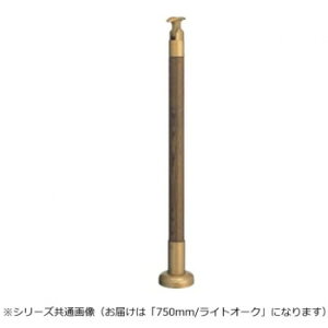 VN}@x CgI[N GBR-720B@750mm