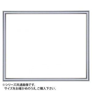 デッサン額 桜かまぼこ シルバー 大衣509×394 アクリル