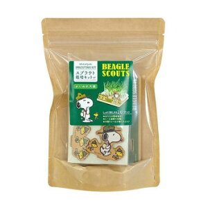 Xk[s[ XvEg͔|Lbg(r[OEXJEg) SNO1350BS