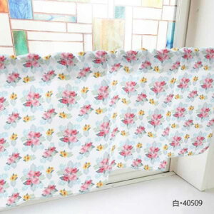 JtFJ[e nCrXJX 1000×450mm@E40509