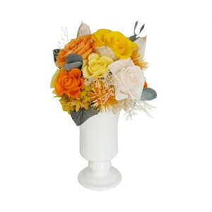 �t�����[�A�����W Fint �t�B���g YE F-6183