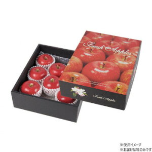 }jpbP[W tbVȂ  30 L-2446