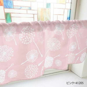 JtFJ[e Ȗ 1000×450mm@sNE41205