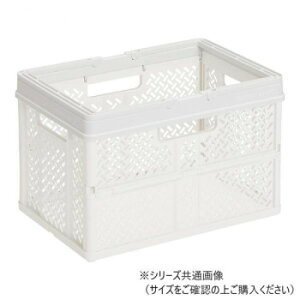 Vn@PRX@܂肽݃oXPbg@nht@L@X[L[zCg@ABS3801