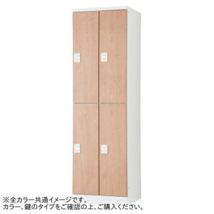 �L���H�� �I�[�����^�C�v���I��4�l�p2��2�i W525(�_�C������) RLK-TTKD4252-WTW