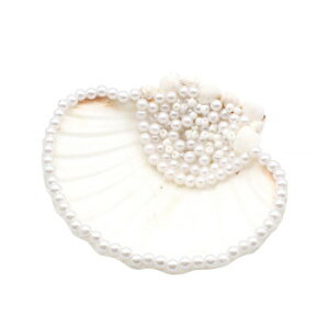 XJbvVFp[gC 10825810481