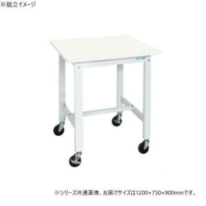 �T�J�G �y�ʍ�Ƒ�KH�^�C�v �R�ہE�R�E�C���X �L���X�^�[�t 1200×750×900mm KH-49VPWSE