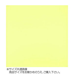 gV[ J[NX 24×24cm A2424-YOO G-47 Cg