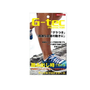 VFA@g-tec PROTECTOR@ANveN^[@Ԃ@Ep