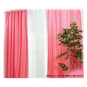 Arie(A[G) CpNg 4gJ[e 100×178 P 537737004178013