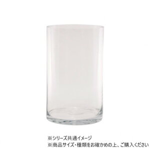 TomV_[ 12×H20(2500004)@2600085