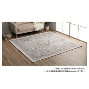 ���O �W���K�[�h�D ���_���I���� �x�[�W�� ��3�� ��200×250cm 1291260026502